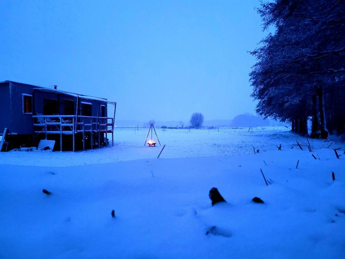 Neu Luxurioeses Tinyhaus Ferienhaus Freyr Einmalig In ลืบเบอเนา ภายนอก รูปภาพ